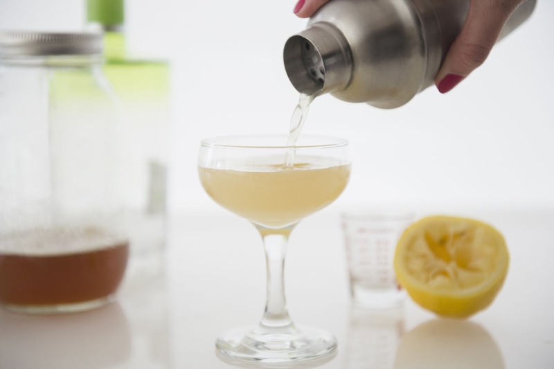 15 Best Egg White Cocktails